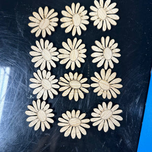 12 Daisy flowers