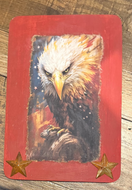 Patriotic eagle