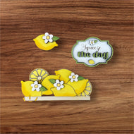 Interchangeable apron -Add on-lemons
