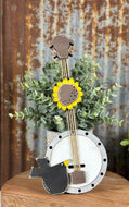 Banjo musical instrument